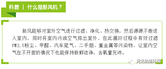 环境对健康的影响，我们呼吸的每一口空气，都在悄悄改写身体剧本