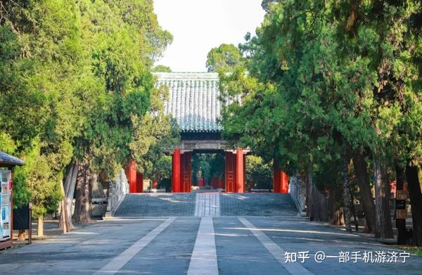 济宁三孔旅游攻略，一个山东人带你把孔庙、孔府、孔林逛明白