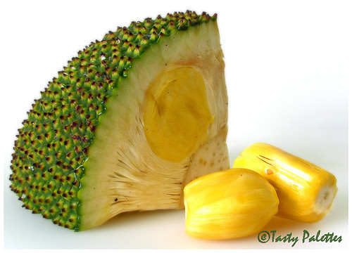 哈尔滨全城追菠萝蜜