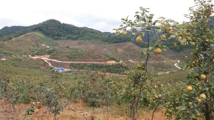 集安跟团旅游攻略，一趟边陲小城的烟火与诗意