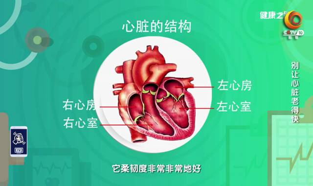 健康之路心脏，你的发动机，值得温柔以待