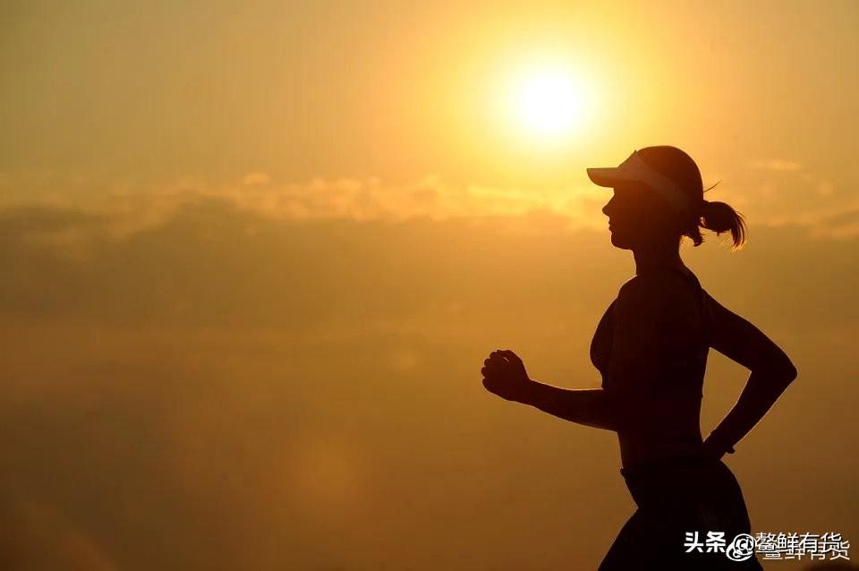 有关健康的主题，从身体到心灵的全面指南