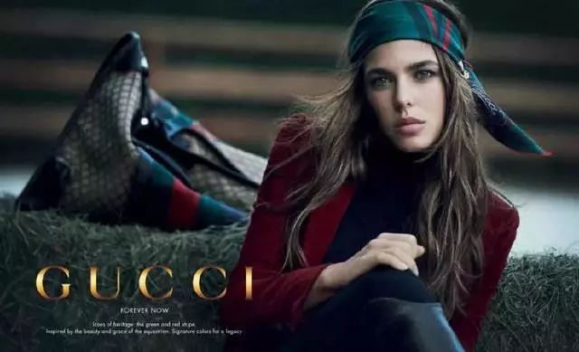 Gucci包被猴子抢走咬破 景区拒赔，一场意外的法律与道德的较量
