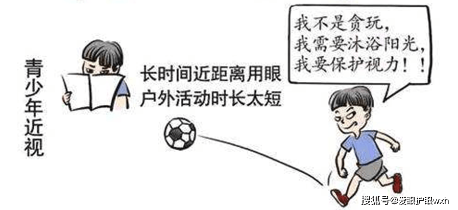 对体育的认知，从跑不动到停不下来