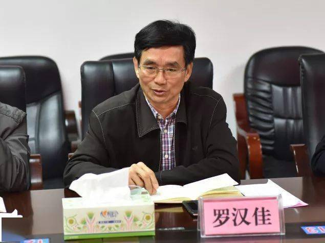 潘汉胜被双开事件深度剖析