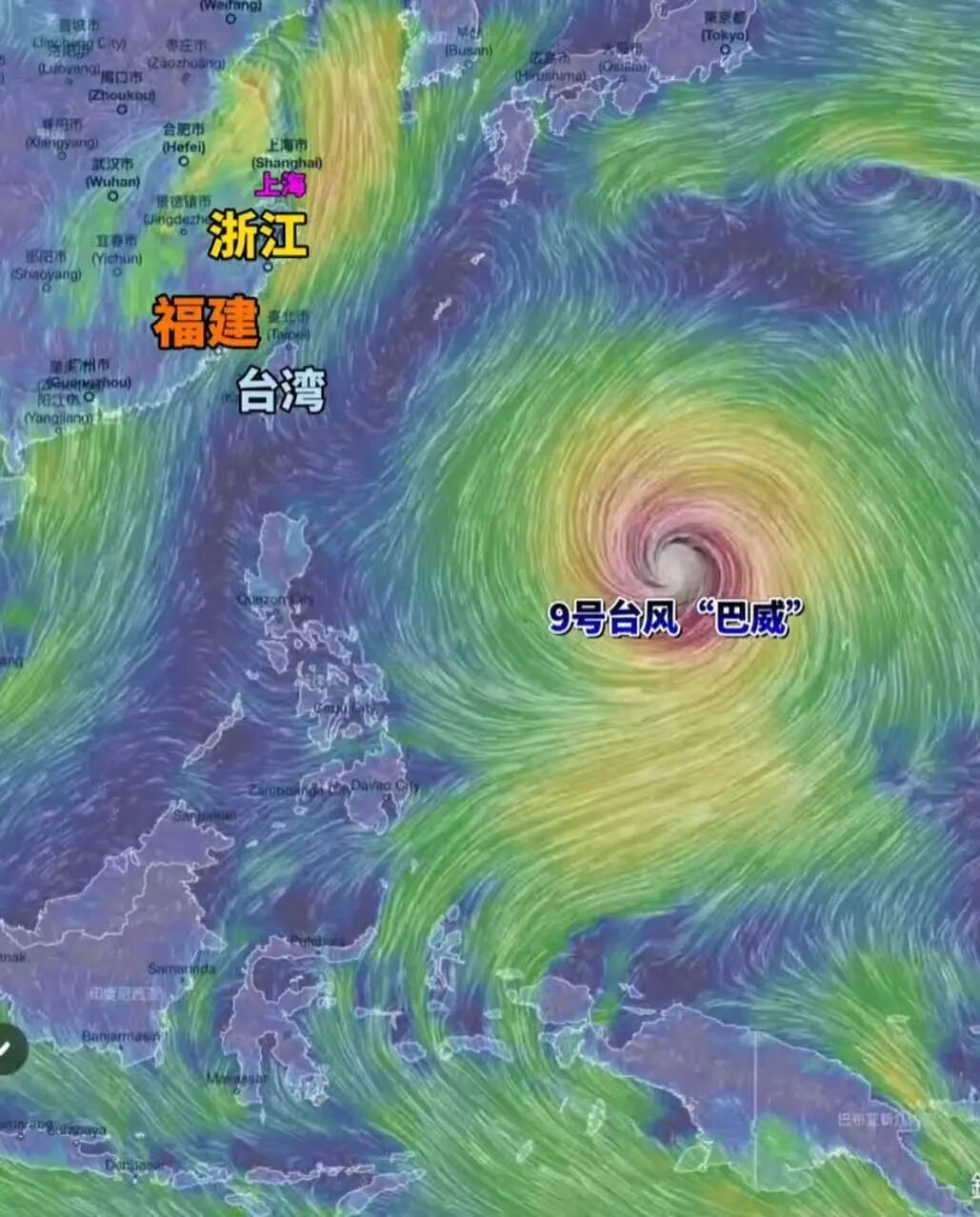 台风巴威在浙江玉环登陆，一场风雨中的守望与应对