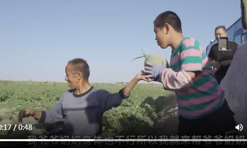 7岁男孩帮爷爷卖瓜，1秒套袋的神奇技艺