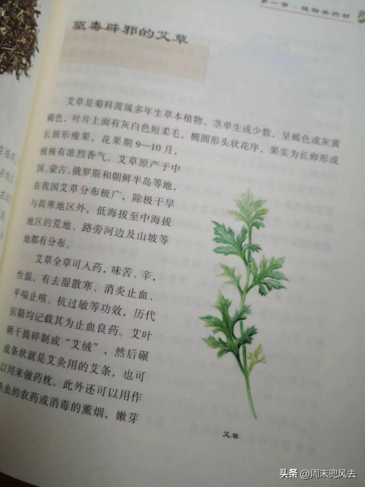 观音岩旅游攻略，一个人也能玩到不想回家的地方
